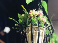 -陈三娃泡姜鸡(太白北路店)