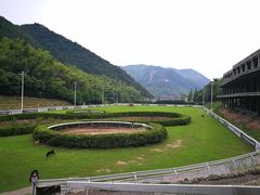 -梦娜斯庄园