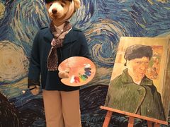 -济州岛泰迪熊博物馆