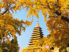 -北京石刻艺术博物馆(五塔寺)