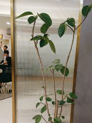 -八佰伴8008星级形象店