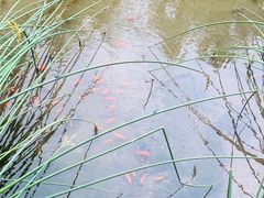 -白水寺森林公园