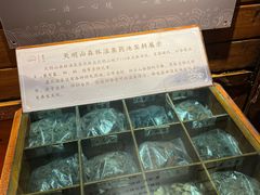 -宁海森林温泉