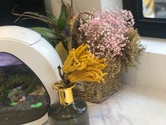 -Fridi Patisserie Cafe