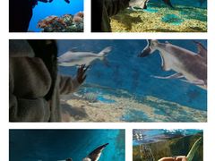 -秦皇岛新澳海底世界