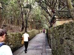 -普陀山慧济禅寺
