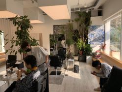 -Hair  Gallery