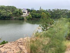 -广东惠东海龟国家级自然保护区