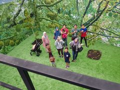 景观位-都念榴莲·城市榴莲