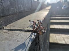 -虞山城墙