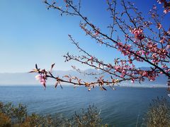 -大理洱海