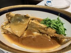 -鲐赏河豚(长寿店)