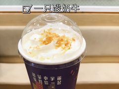 -一只酸奶牛(八一路店)