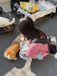 -MS.SALON美发沙龙