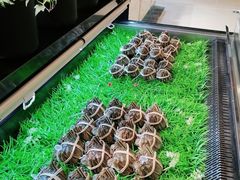 -旺顺阁海鲜广场(亚运村店)