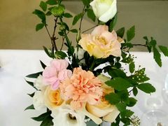 -蝶舍·MAISON PAPILLON