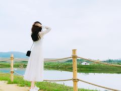 景点-光明小镇欢乐田园