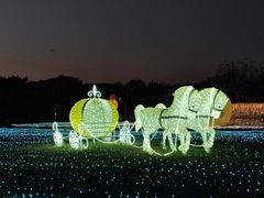 -海上田园