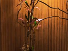 -二酉书店TOYOU BOOKS