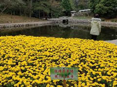 -庐山风景区花径公园