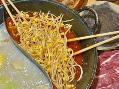 -阳阳老火锅(小南门店)