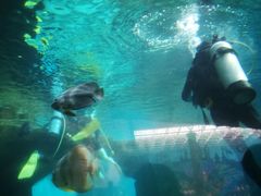 -波塞冬旅游度假区