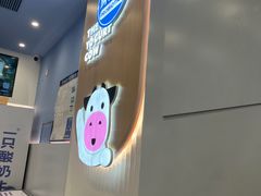 -一只酸奶牛(春熙路店)