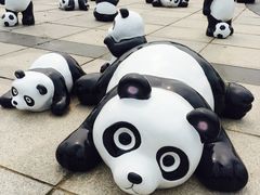 -南戴河国际娱乐中心