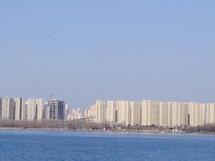 -丁香湖公园