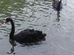 -海南热带野生动植物园