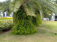 -厦门国家会计学院