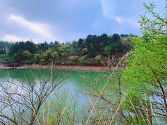 -鹿亭中村