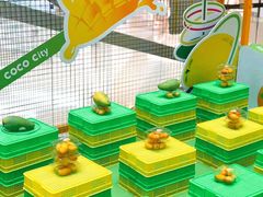 -深圳龙华星河COCO City(民治店)