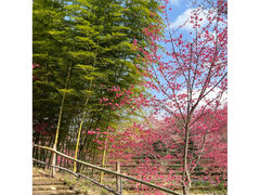 -东山风动石景区
