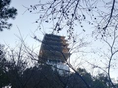 -临平公园(临平街道)