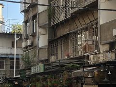 -溪岸路花鸟市场