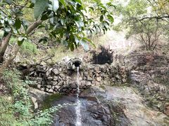 -宁波市保国寺古建筑博物馆