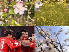 -上海体育场