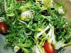凉拌苦菊-呱呱叫民俗风味主题餐厅(沣峪口店)