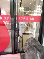 -广东韩妃整形外科医院