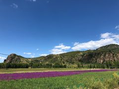 -塞罕坝国家级自然保护区