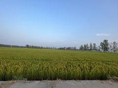 -冯氏吴山贡鹅(206国道店)