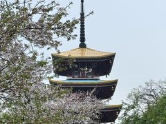 -东湖生态旅游风景区