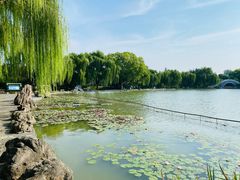 -洛阳市隋唐城遗址植物园
