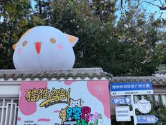 -广州兰圃