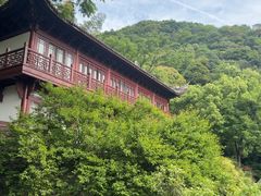 -韬光茶庵