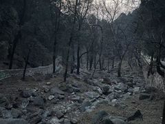 -泰山风景名胜区