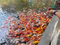 -番禺宾馆丽苑厅