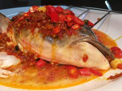 -坛宗剁椒鱼头(河西王府井店)