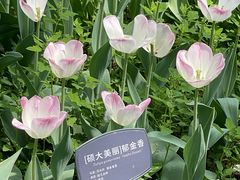-国家植物园
